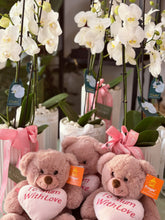 Load image into Gallery viewer, Teddy Bears