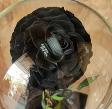 Load image into Gallery viewer, Forever Rose Dome - single