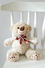 Load image into Gallery viewer, Teddy Bears